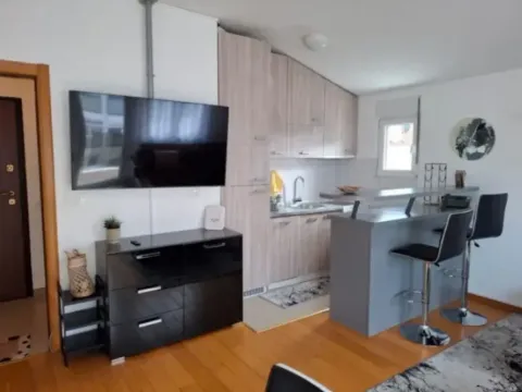 Izdavanje, jednosoban stan, 48m², Blok 9, Podgorica