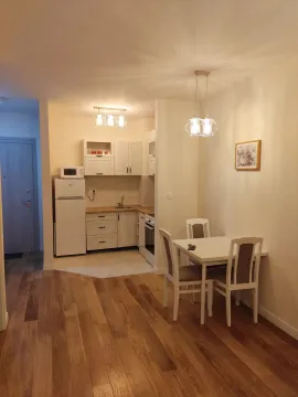 Rent, one bedroom apartment, 42m², Central Point, Podgorica - image 2