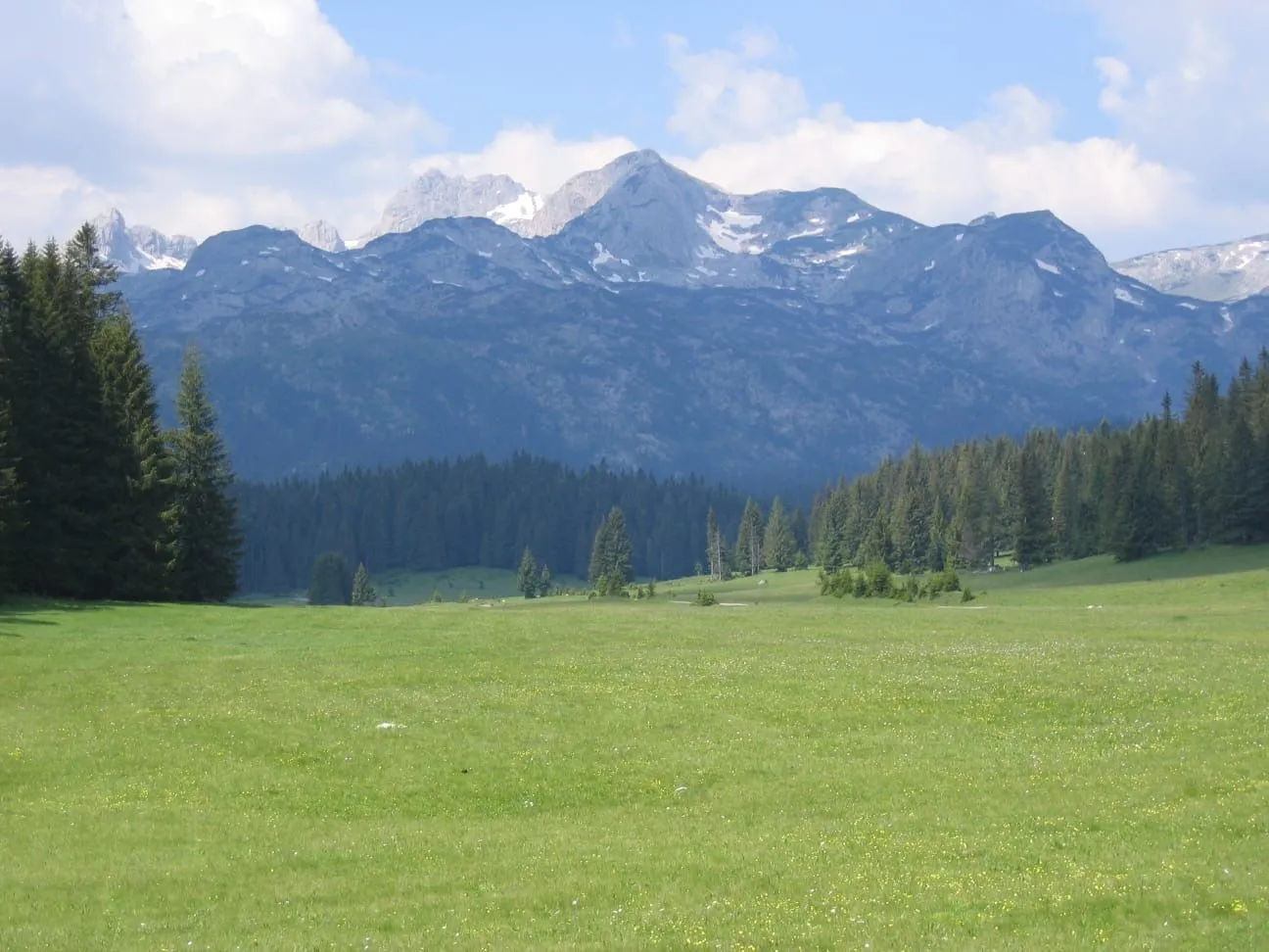 Prodaja, plac, 6056m², Žabljak, Crna Gora