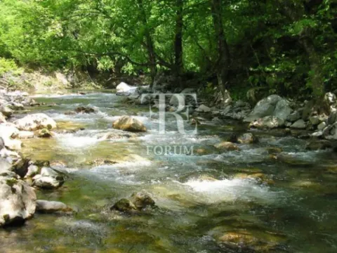 Prodaja, plac, 22391m², Ulica, Kolašin - image 4