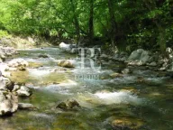 Prodaja, plac, 22391m², Ulica, Kolašin - image 4