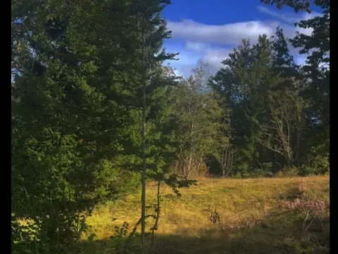 Sale, land lot, 2000m², Virpazar, Bar - image 3