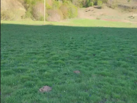 Prodaja, plac, 70000m², Veruša, Podgorica - image 8