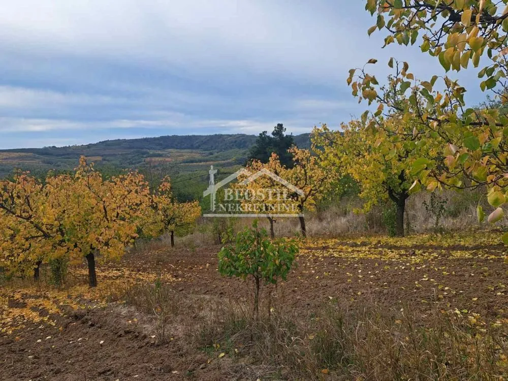 Sale, land lot, 6900m², Grocka, Beograd
