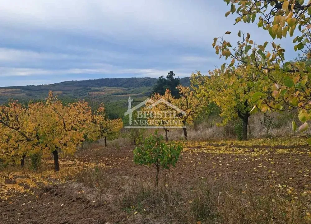 Prodaja, plac, Grocka, Beograd