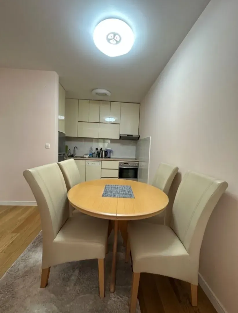 Izdavanje, jednosoban stan, 50m², Central Point, Podgorica