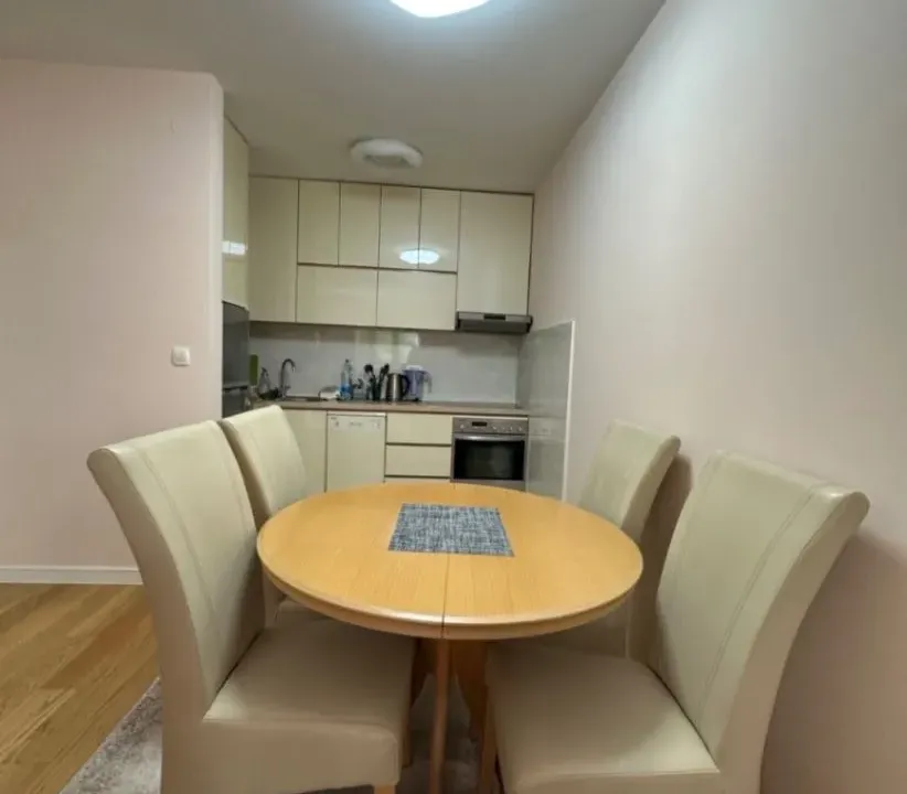 Izdavanje, jednosoban stan, 50m², Central Point, Podgorica