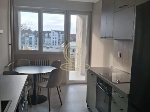 Izdavanje, dvosoban stan, 63m², Kej, Novi Sad Sve Podlokacije - image 3
