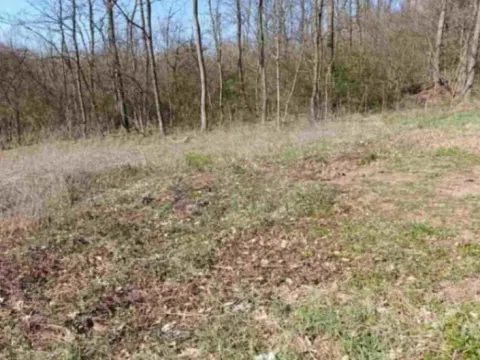 Prodaja, plac, 855m², Vrbovno, Lazarevac - image 3