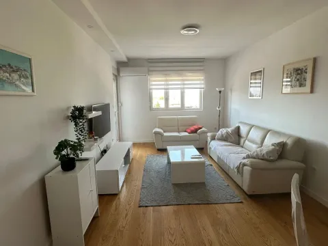 Izdavanje, jednosoban stan, 49m², Central Point, Podgorica - image 2