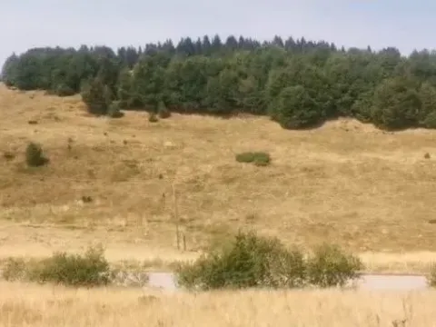 Sale, land lot, 6000m², Kopaonik, Srbija - image 4