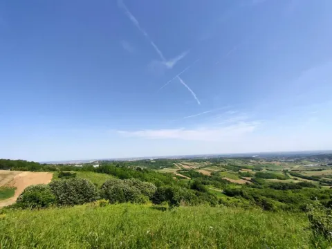 Prodaja, plac, 5600m², Novi Sad, Srbija - image 2