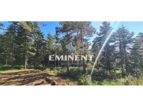 Sale, land lot, 22000m², Divčibare, Valjevo