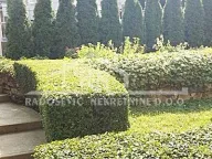 Izdavanje, trosoban stan, 70m², Banovo Brdo, Beograd - image 16