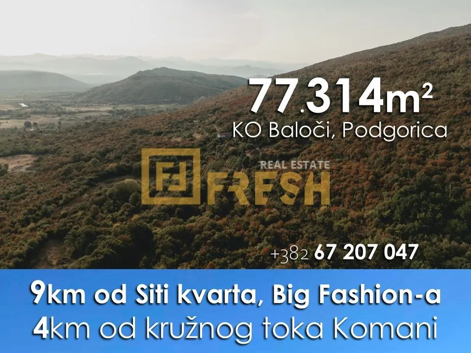 Prodaja, plac, 77314m², Ostalo, Podgorica