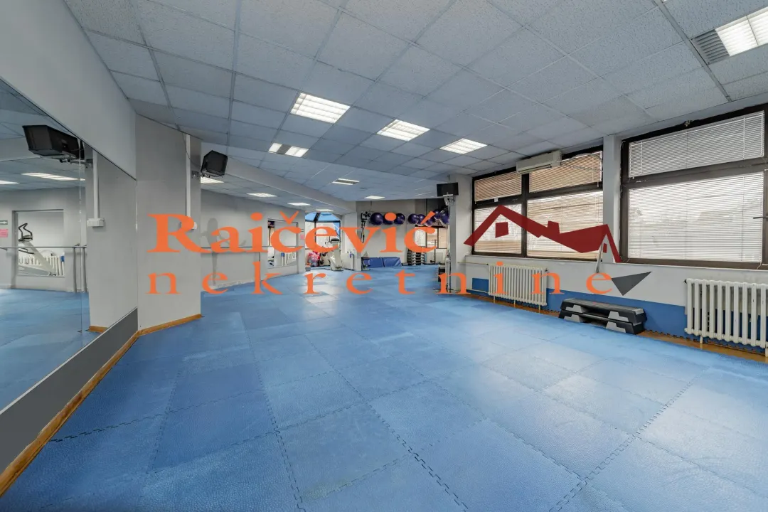 Izdavanje, poslovni prostor, 273m², Banovo Brdo, Beograd