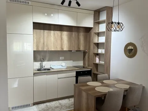 Rent, one bedroom apartment, 43m², Stari Aerodrom, Podgorica - image 2