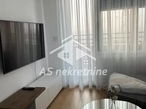 Izdavanje, dvosoban stan, 44m², Novi Beograd Blok 67, Novi Beograd Sve Podlokacije - image 4