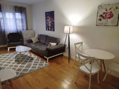 Izdavanje, jednosoban stan, 47m², Central Point, Podgorica - image 9