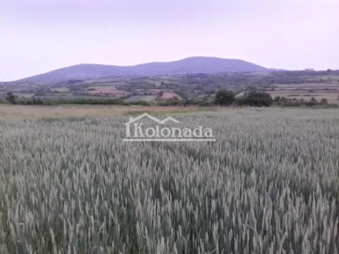 Prodaja, plac, 13000m², Nemenikuće, Sopot