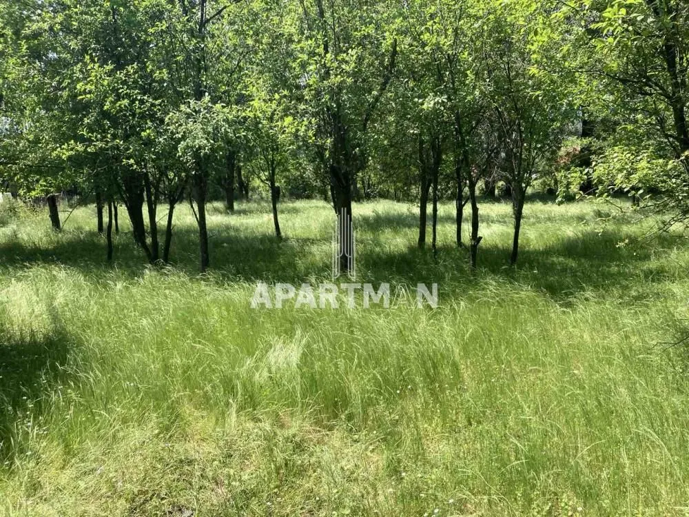 Prodaja, plac, 2436m², Knić, Srbija