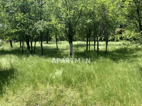 Prodaja, plac, 2436m², Knić, Srbija - image 6