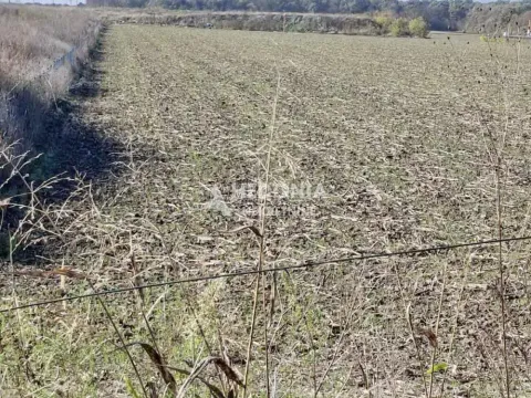 Sale, land lot, 3120m², Novi Beograd Sve Podlokacije, Beograd - image 4