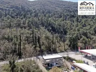 Sale, land lot, 2016m², Sutorina, Herceg Novi - image 1