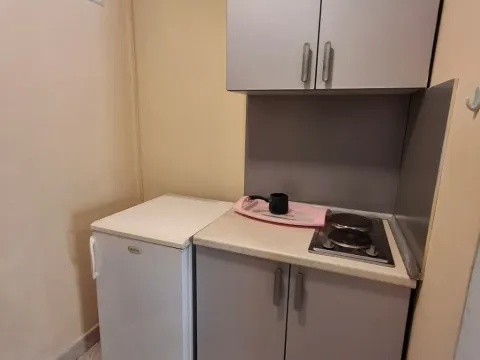 Izdavanje, garsonjera, 25m², Podkošljun, Budva - image 4