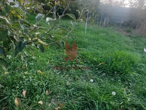 Sale, house, 210m², Medjulužje, Mladenovac - image 4