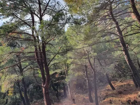 Prodaja, plac, 1028m², Bar, Crna Gora - image 9