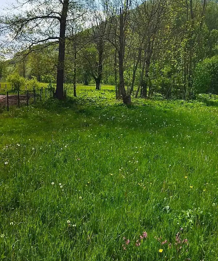Prodaja, plac, 10000m², Kolašin, Crna Gora