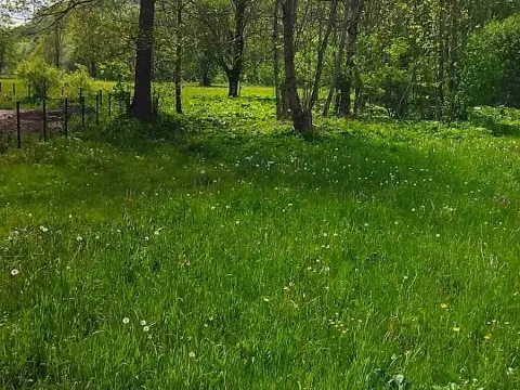 Prodaja, plac, 10000m², Kolašin, Crna Gora - image 3