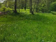 Prodaja, plac, 10000m², Kolašin, Crna Gora - image 3