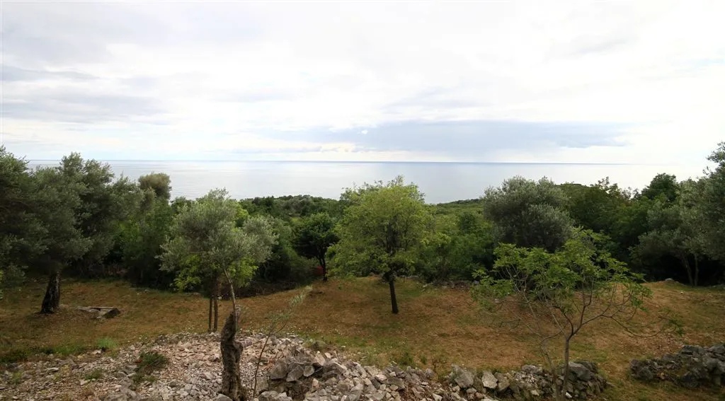 Prodaja, plac, 2650m², Reževići, Budva