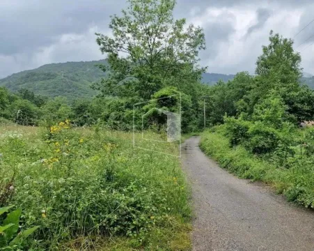 Prodaja, plac, 11112m², Kolašin, Crna Gora - image 3