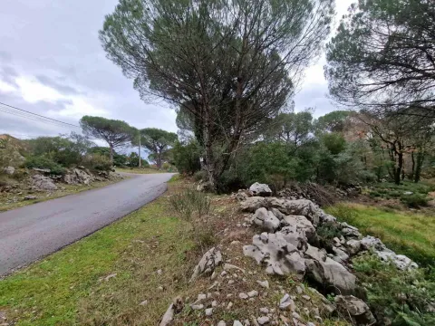 Prodaja, plac, 1150m², Zagora, Kotor - image 4