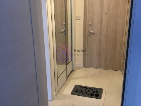 Izdavanje, jednosoban stan, 46m², Central Point, Podgorica - image 10