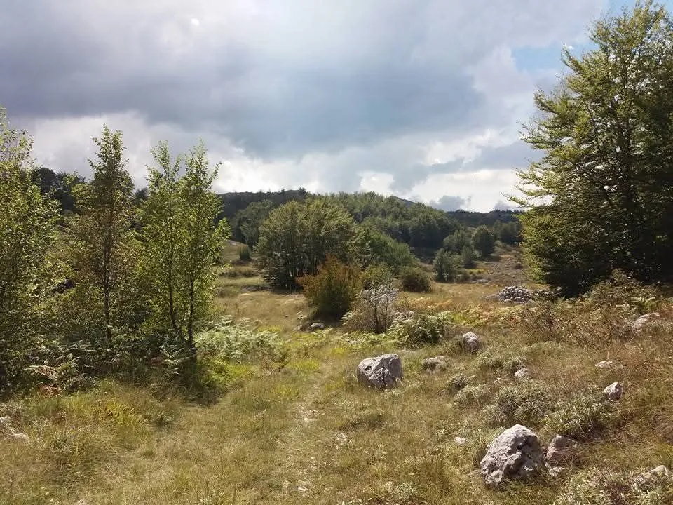 Prodaja, plac, 20000m², Cetinje, Crna Gora