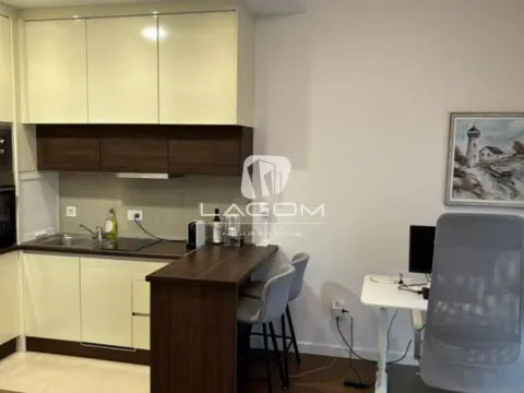 Rent, one bedroom apartment, 28m², Tošin bunar, Novi Beograd Sve Podlokacije - image 10