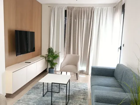 Rent, one bedroom apartment, 45m², Vezirov Most, Podgorica - image 2
