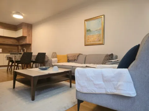 Izdavanje, jednosoban stan, 57m², Central Point, Podgorica - image 7