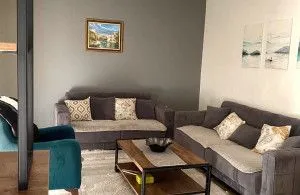 Izdavanje, jednosoban stan, 70m², Bjeliši, Bar - image 3