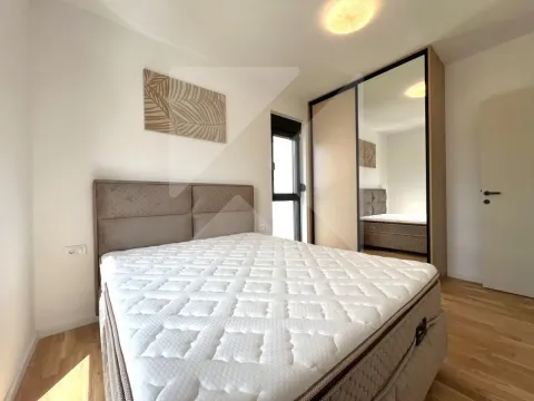 Rent, one bedroom apartment, 47m², Zabjelo, Podgorica - image 5