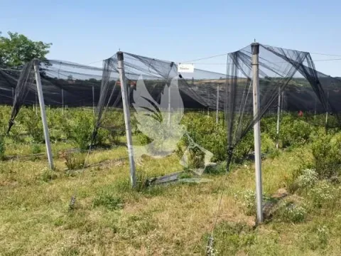 Prodaja, plac, 8874m², Nemenikuće, Sopot - image 9