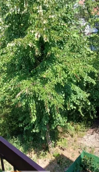 Prodaja, trosoban stan, 76m², Cerak, Beograd