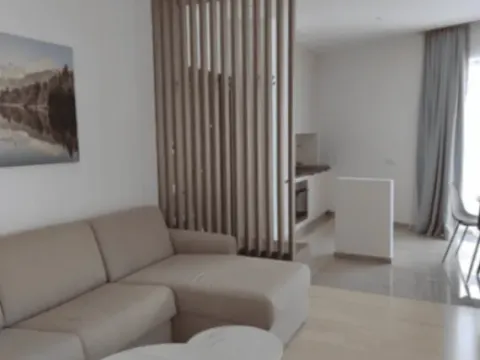 Stan-na-dan, stan, 47m², Bečići, Budva - image 2