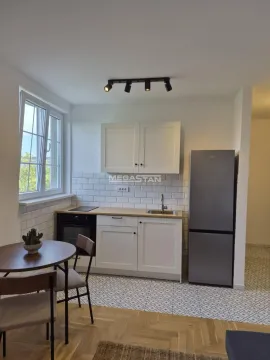 Rent, one bedroom apartment, 30m², Vračar Sve Podlokacije, Beograd - image 9