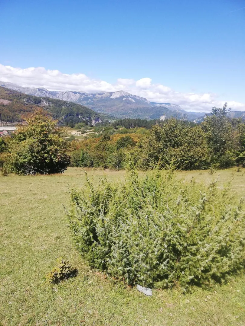 Zeleni plac sa pogledom na planinski pejzaž pod plavim nebom.