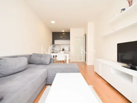 Izdavanje, jednosoban stan, 47m², Central Point, Podgorica - image 9